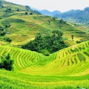 Tour Phú Quốc 3D2N: Thiên Đường Biển Đảo